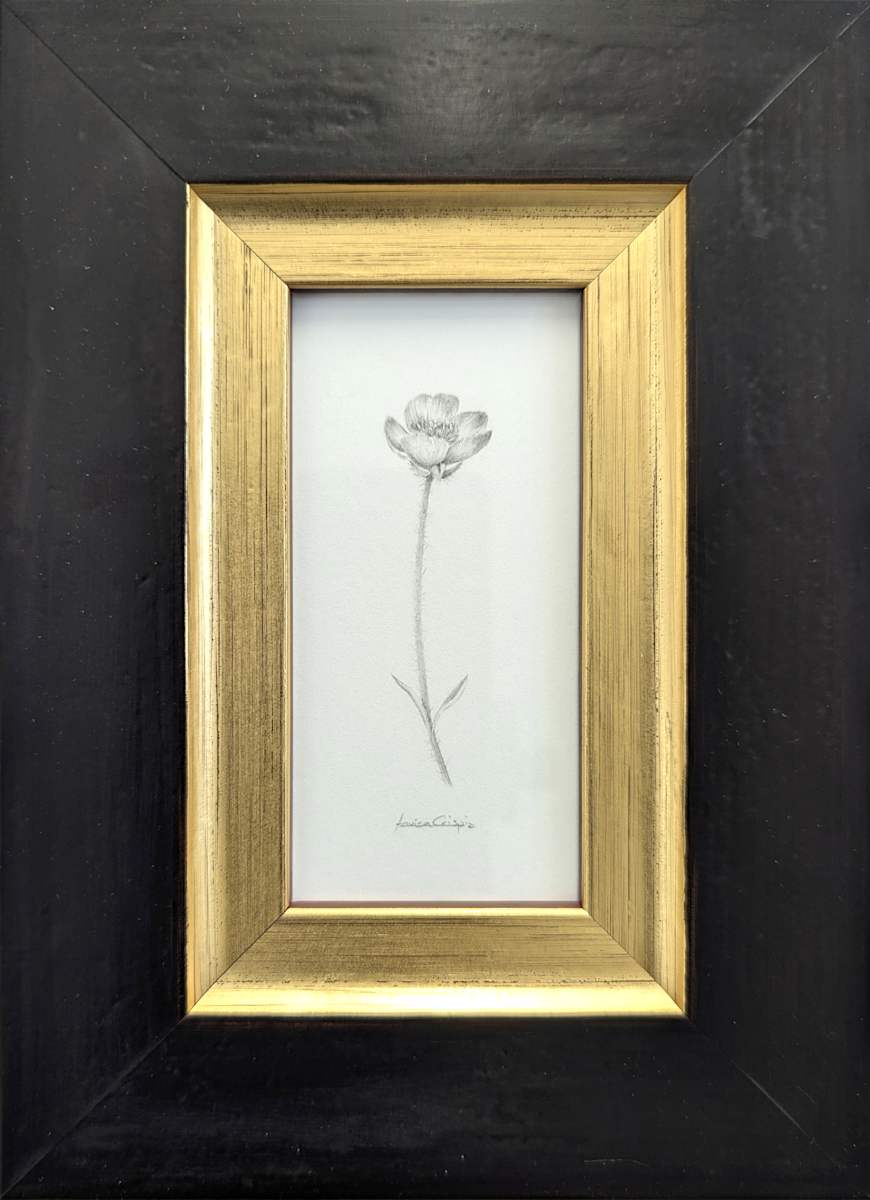 Buttercup BU005 by Louisa Crispin, Image 1.