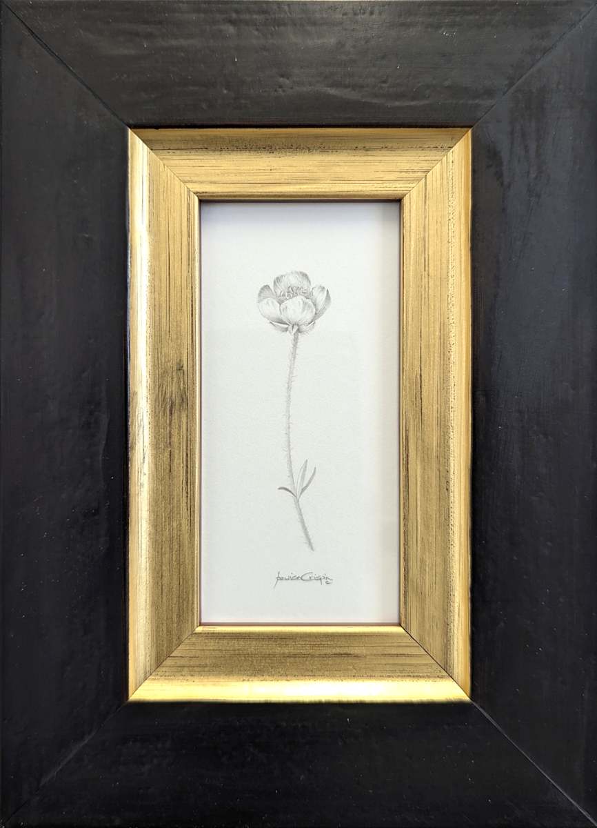 Buttercup BU006 by Louisa Crispin, Image 1.