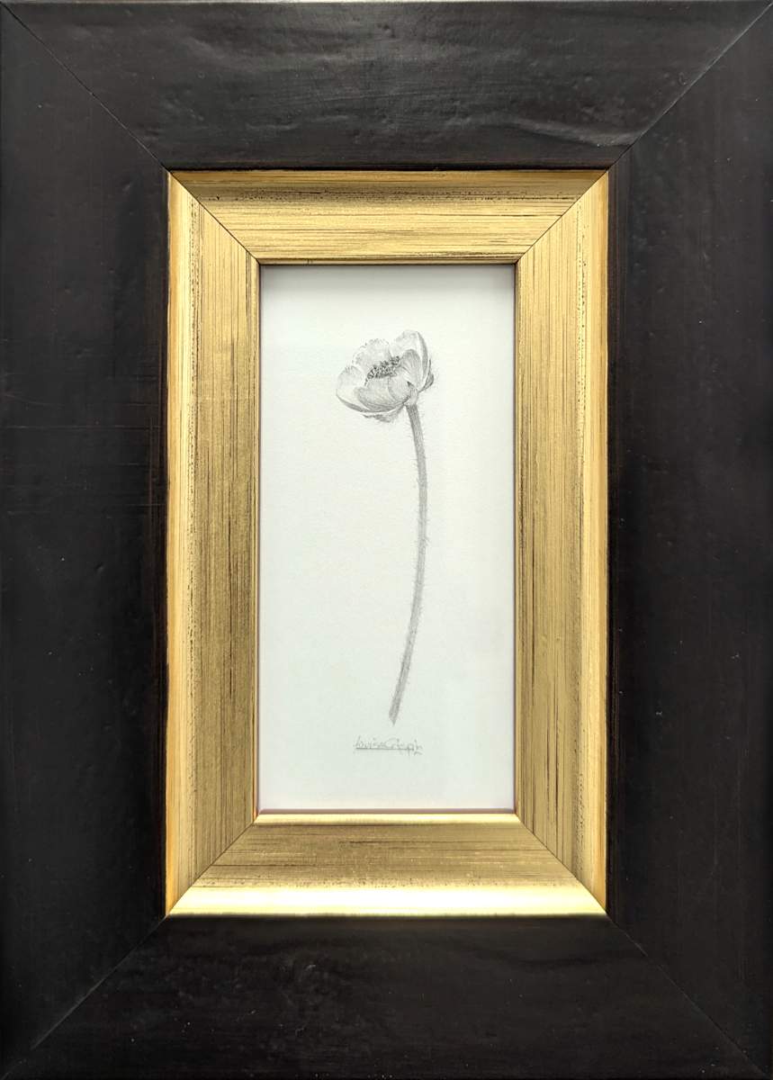 Buttercup BU007 by Louisa Crispin, Image 1.