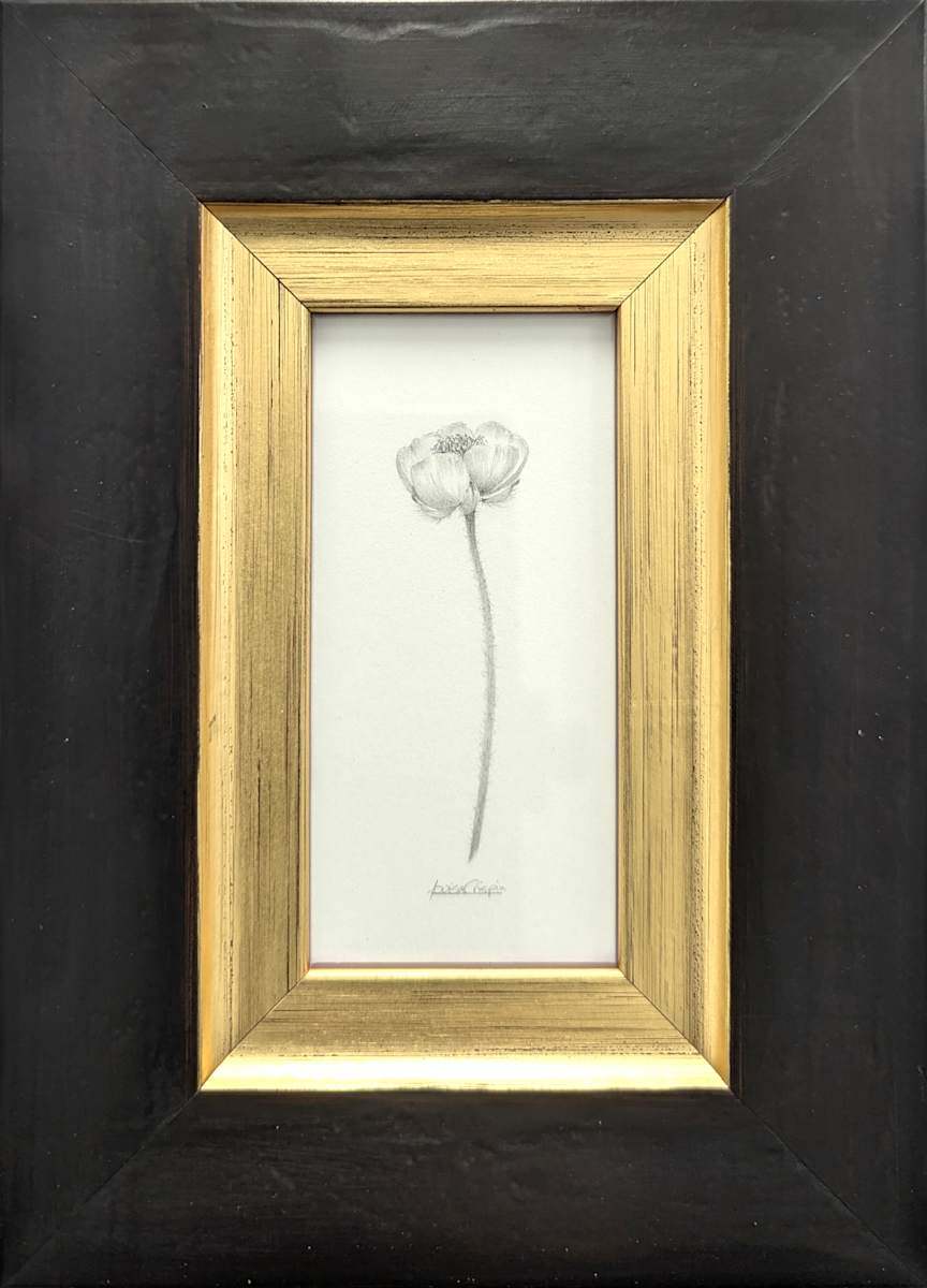 Buttercup BU008 by Louisa Crispin, Image 1.