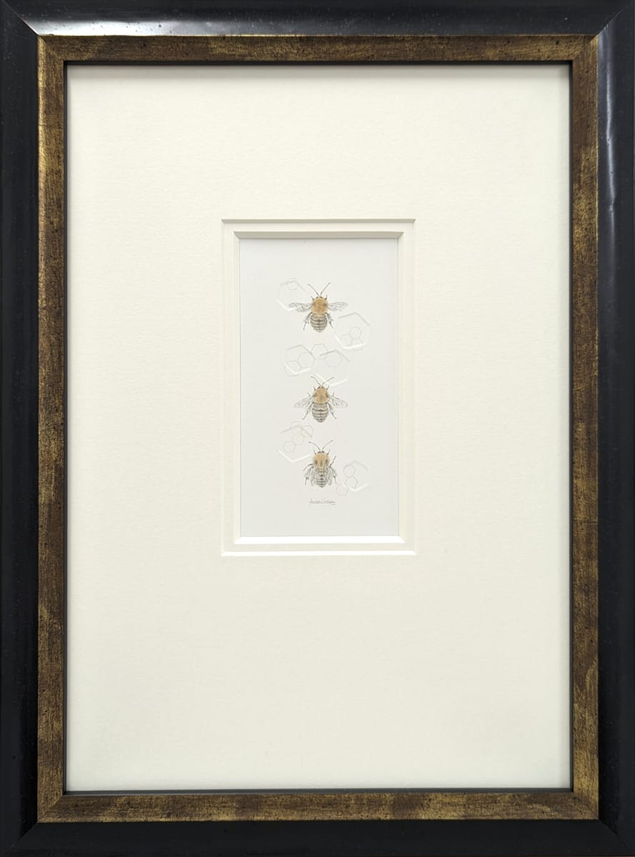 Carder BumbleBee 3.46e by Louisa Crispin, Image 2.