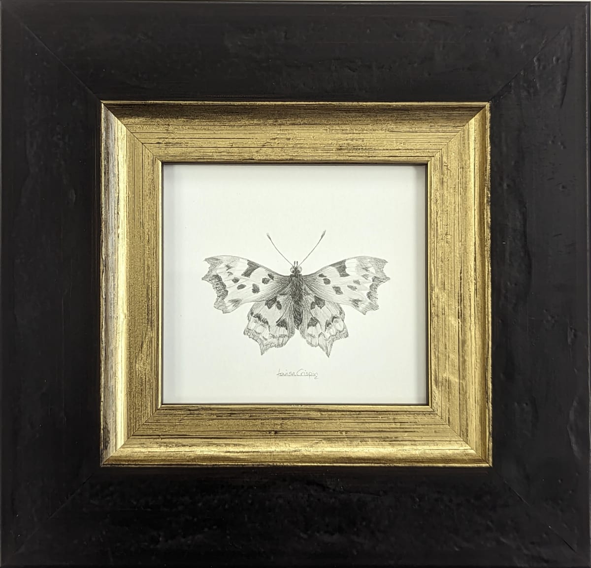 Comma CB001 by Louisa Crispin, Image 3.