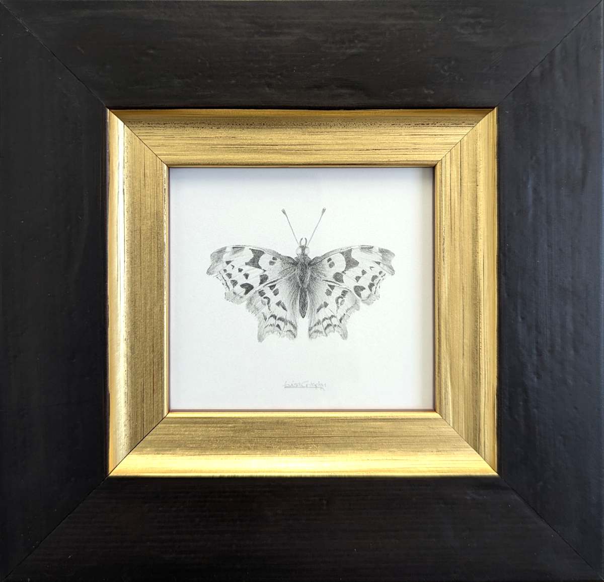 Comma CB002 by Louisa Crispin, Image 1.