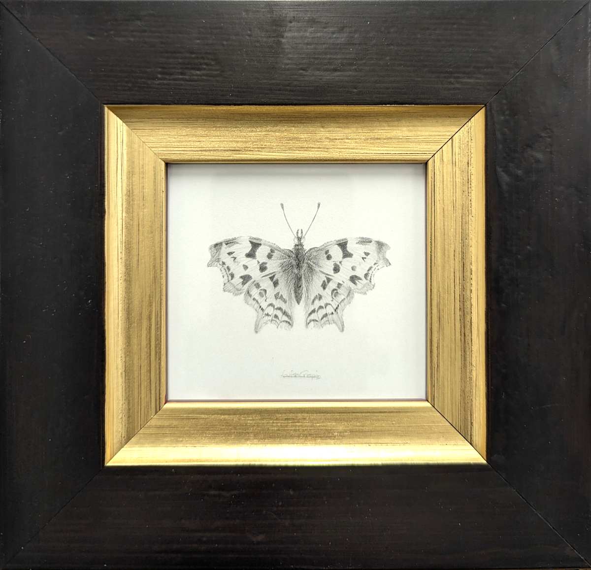 Comma CB003 by Louisa Crispin, Image 1.