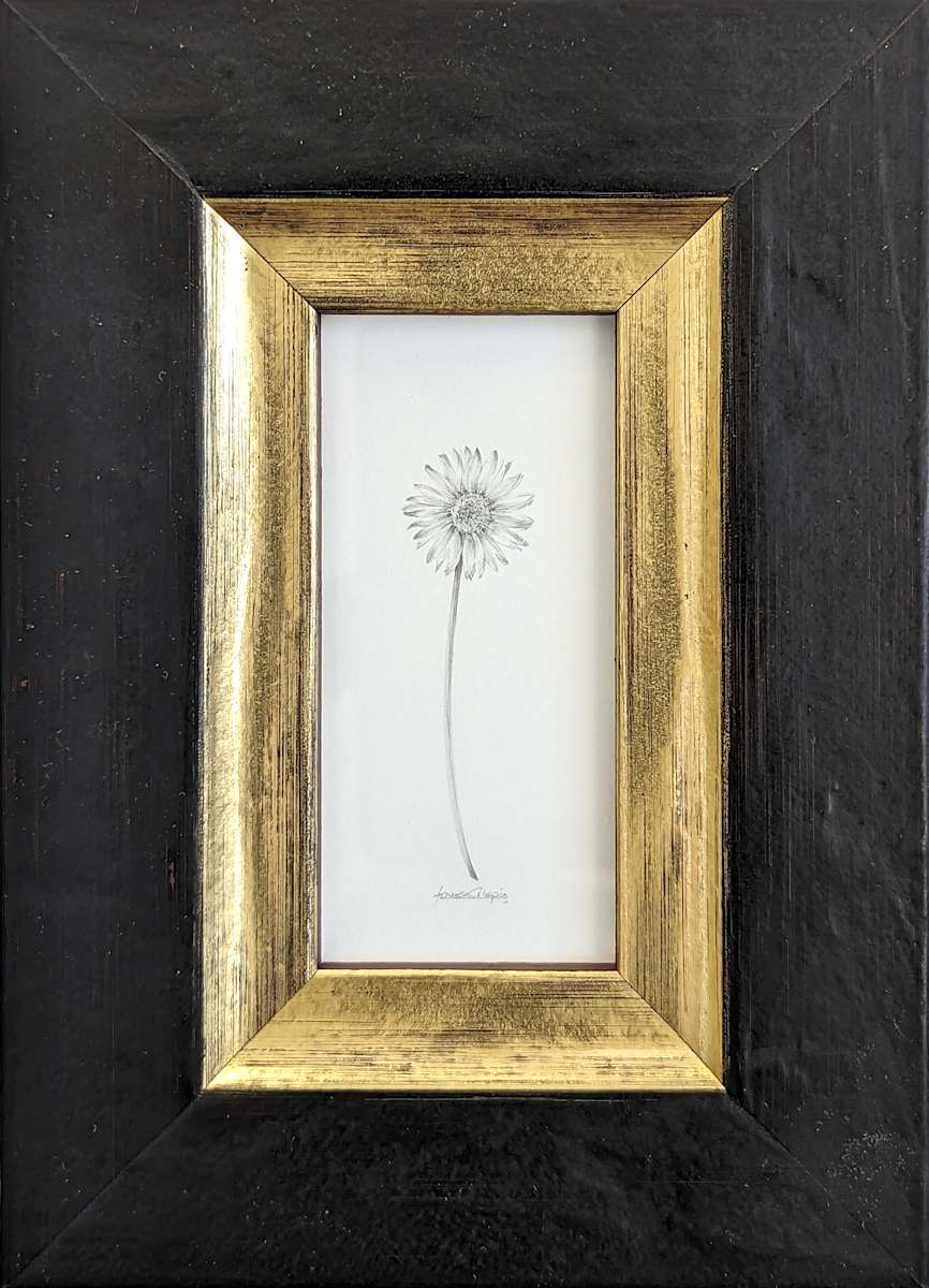 Daisy 010 by Louisa Crispin, Image 4.