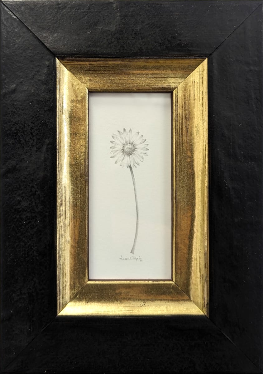 Daisy DA012 by Louisa Crispin, Image 3.