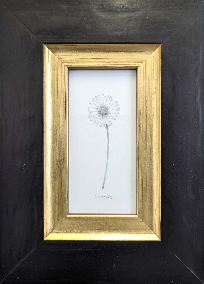 Daisy DA017 by Louisa Crispin, Image 1.