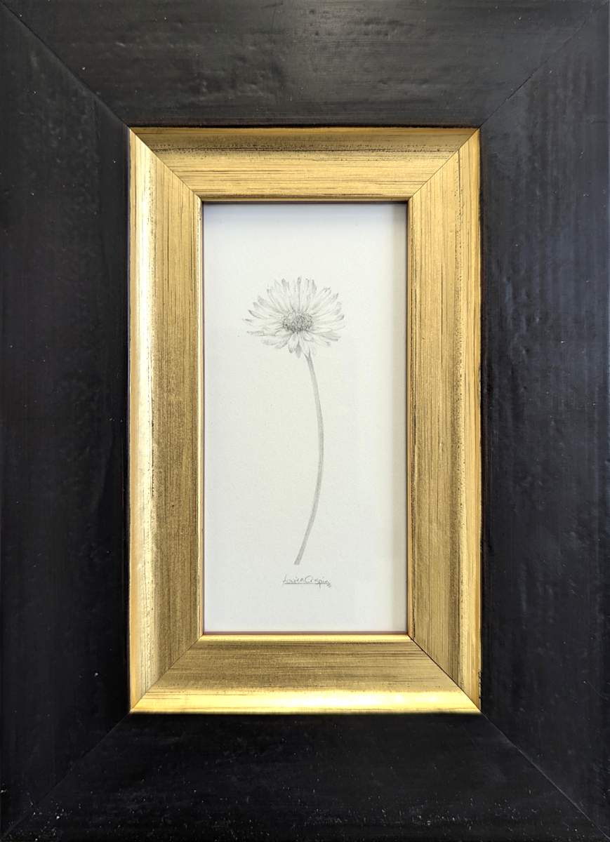 Daisy DA019 by Louisa Crispin, Image 1.