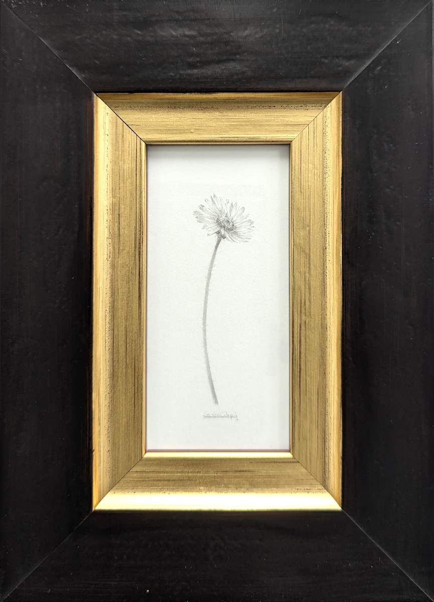 Daisy DA021 by Louisa Crispin, Image 1.