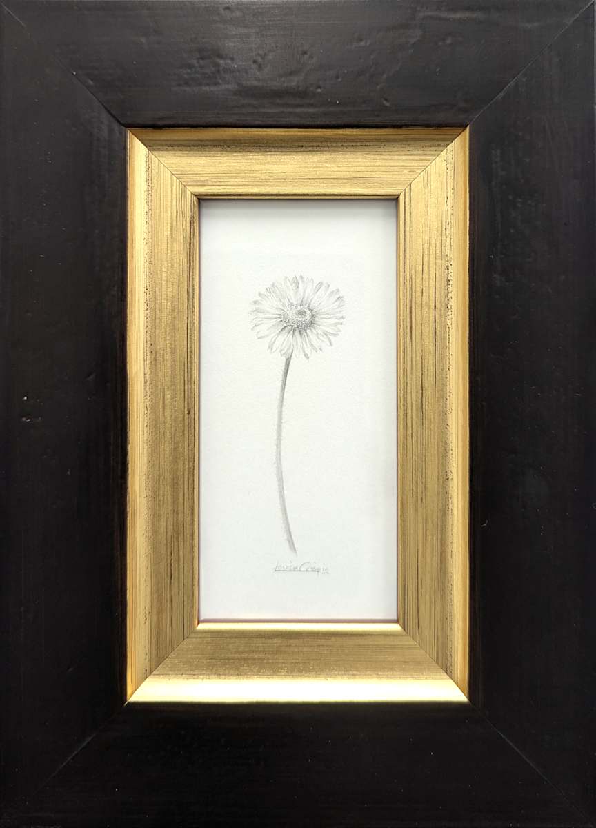 Daisy DA022 by Louisa Crispin, Image 1.