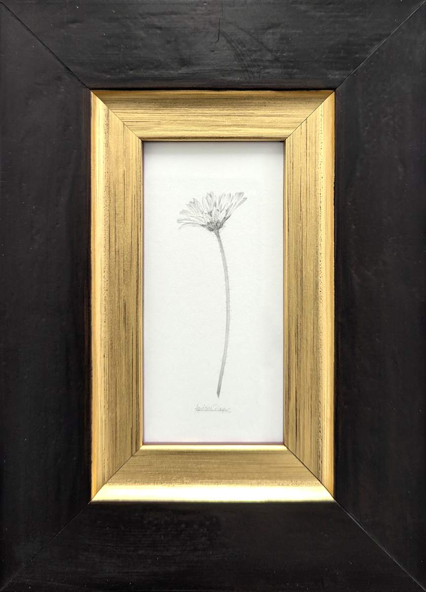 Daisy DA023 by Louisa Crispin, Image 1.