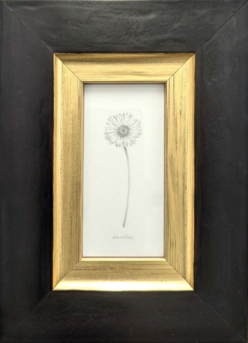 Daisy DA024 by Louisa Crispin, Image 1.