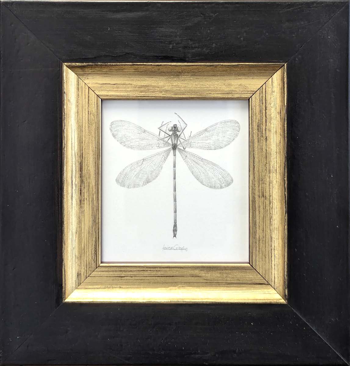 Damselfly DF004 by Louisa Crispin 