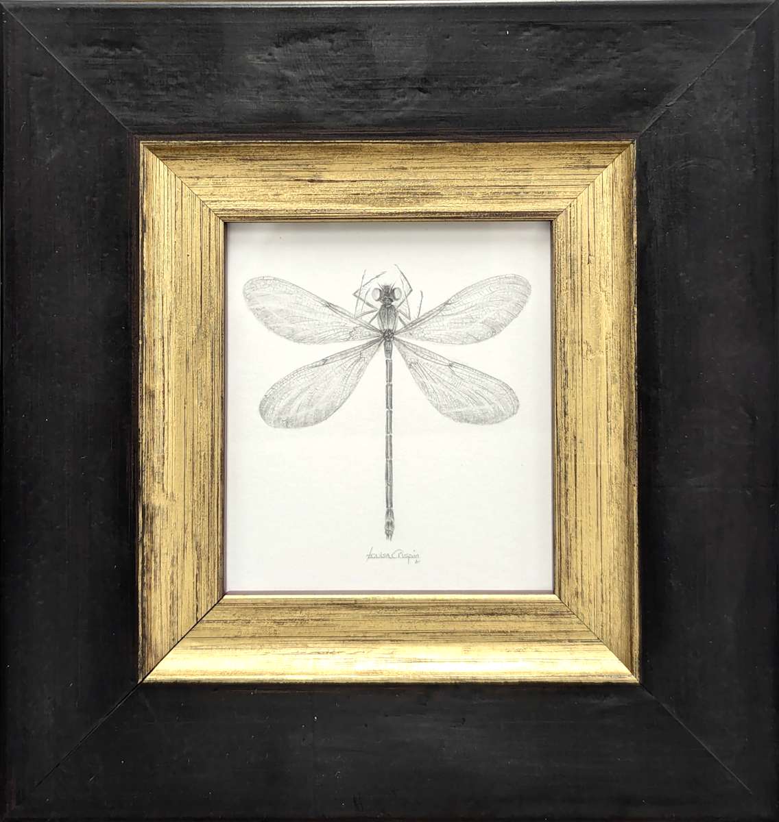 Damselfly DF005 by Louisa Crispin, Image 3.