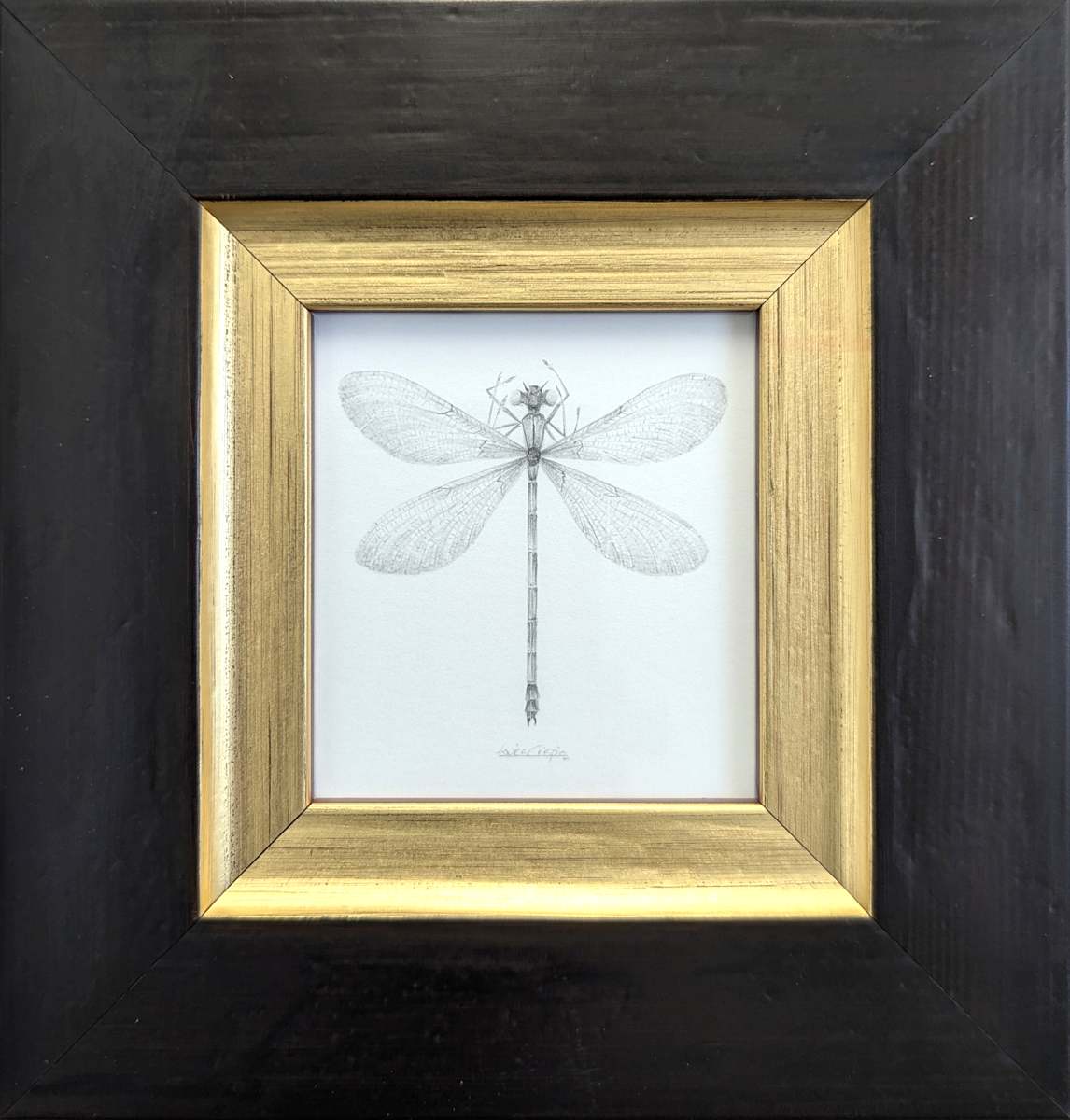 Damselfly DF007 by Louisa Crispin, Image 1.