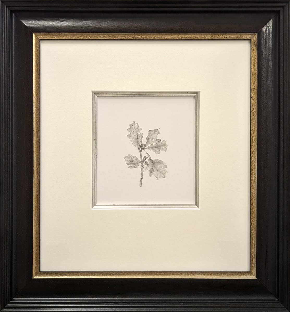 Decay xxix ~ Oak Galls by Louisa Crispin, Image 1.
