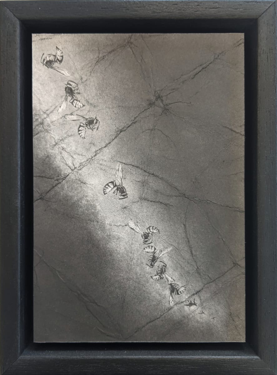 FP Minimus Sixty Two by Louisa Crispin, Image 1.