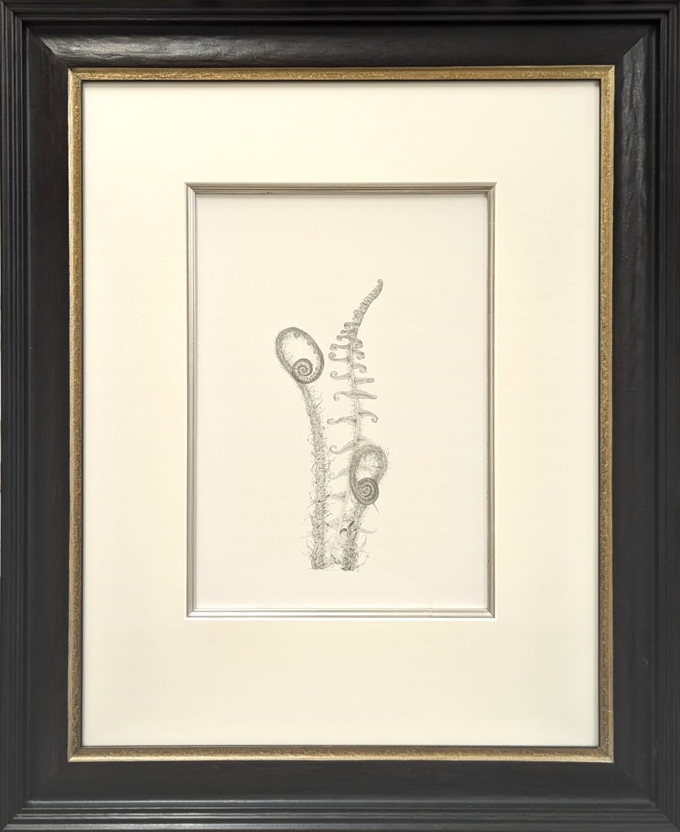 Fern iii by Louisa Crispin, Image 1.