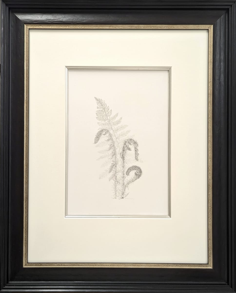 Fern v by Louisa Crispin 