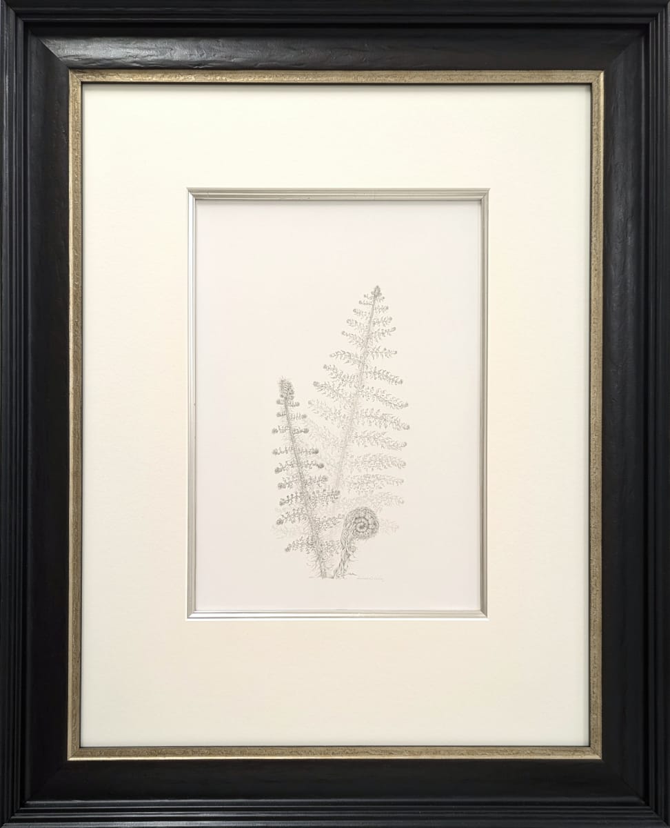 Fern vi by Louisa Crispin, Image 2.