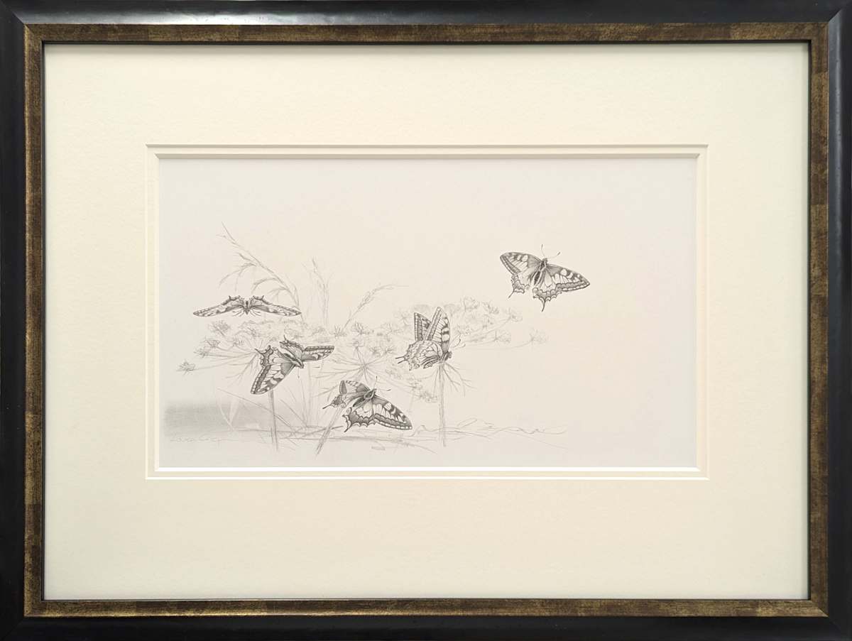 Field Notes 001 ~ Swallowtail Butterfly by Louisa Crispin, Image 1.