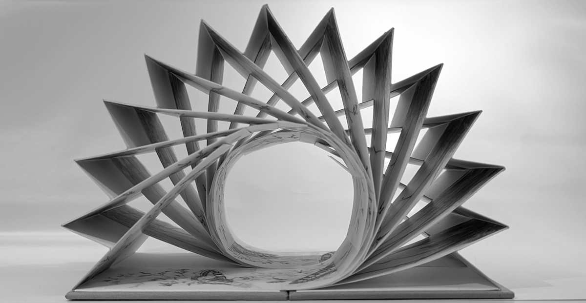 Field Notes 006 ~ Meadow Flight (artist flagbook) by Louisa Crispin 