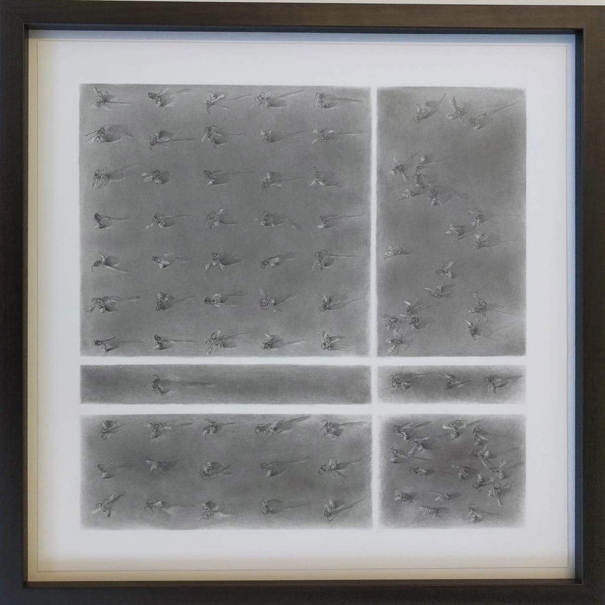 Flight Path ii by Louisa Crispin, Image 1.