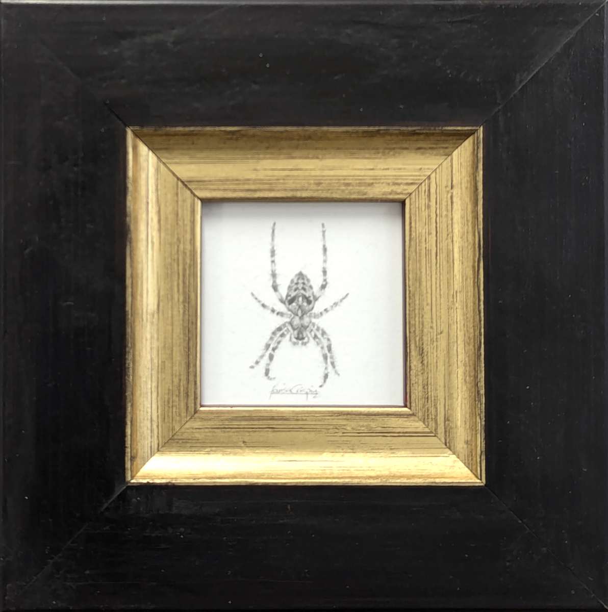 Garden Spider GS001 by Louisa Crispin 
