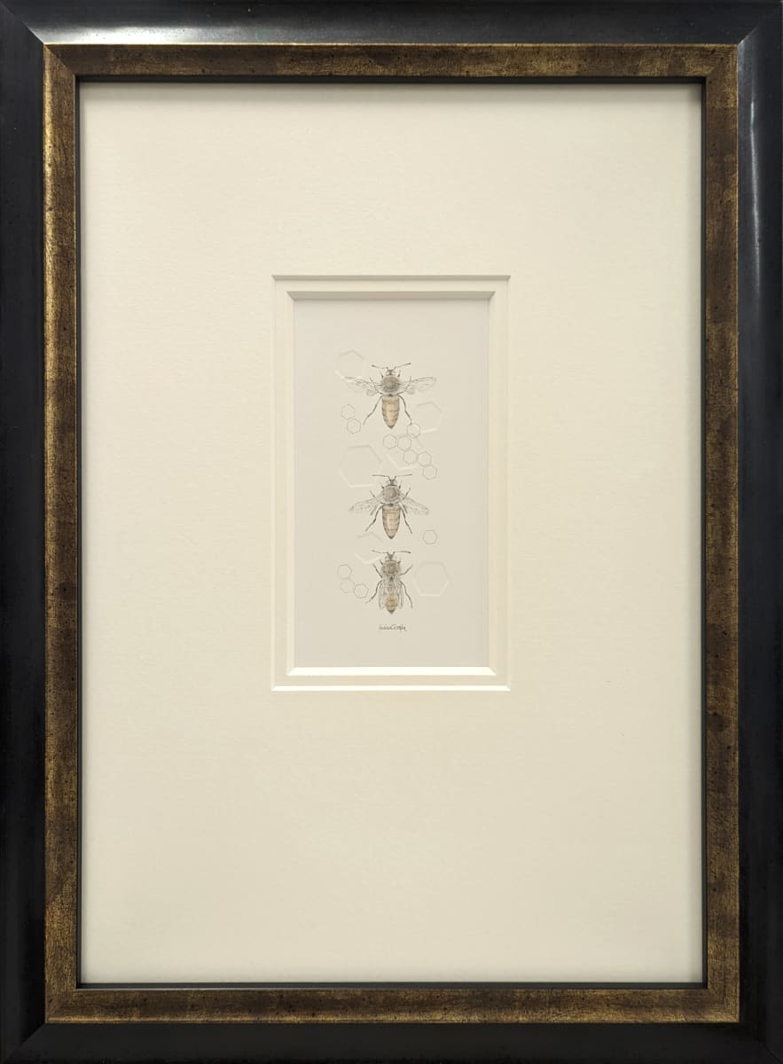 Honey Bee 3.42e 