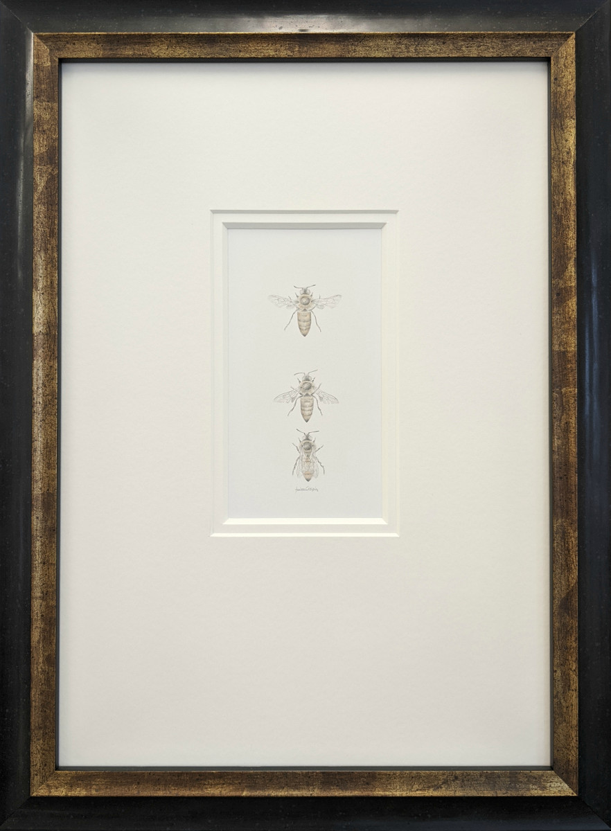Honey Bee 3.24 by Louisa Crispin 