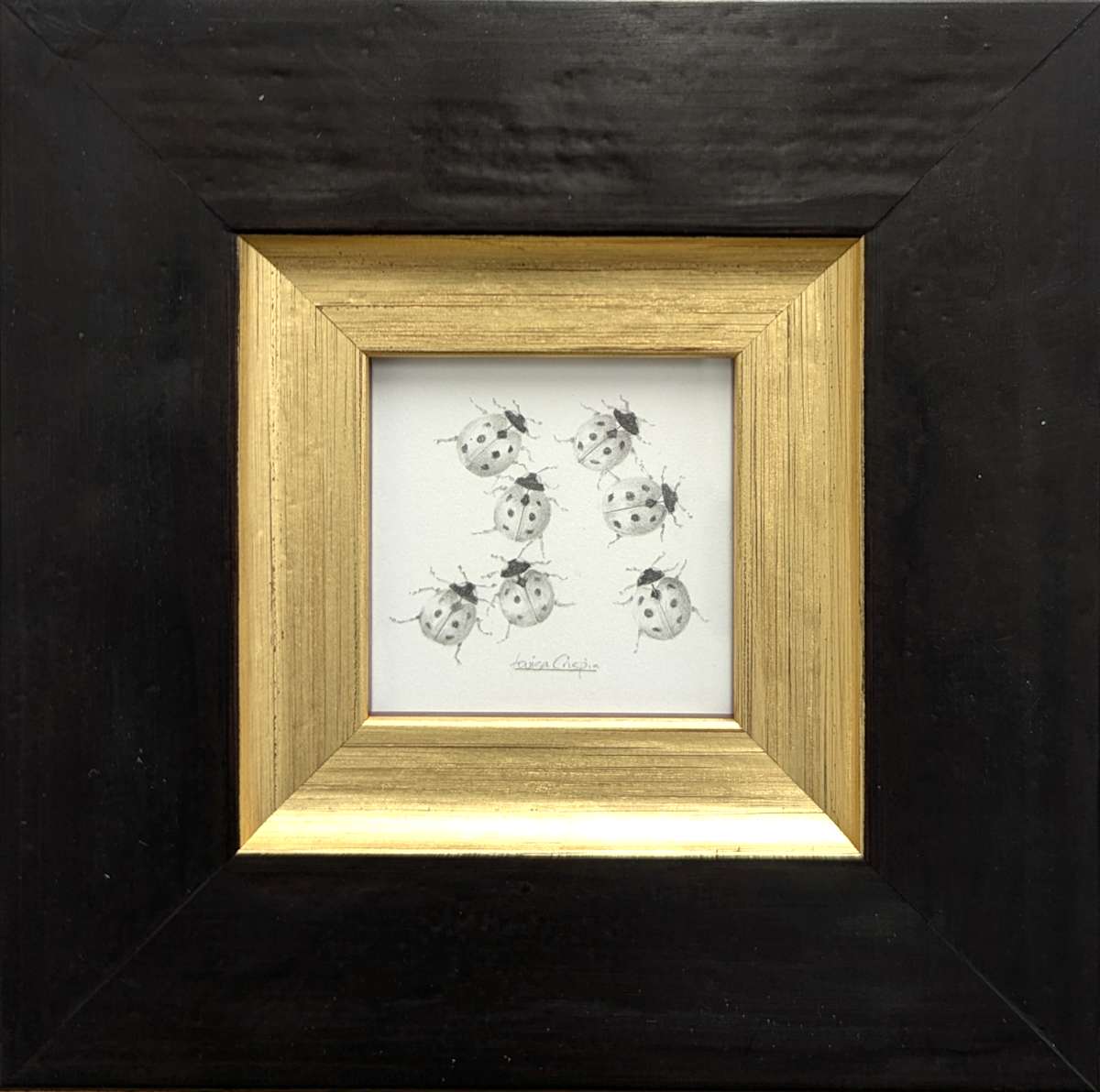 Ladybird LB001 by Louisa Crispin, Image 2.