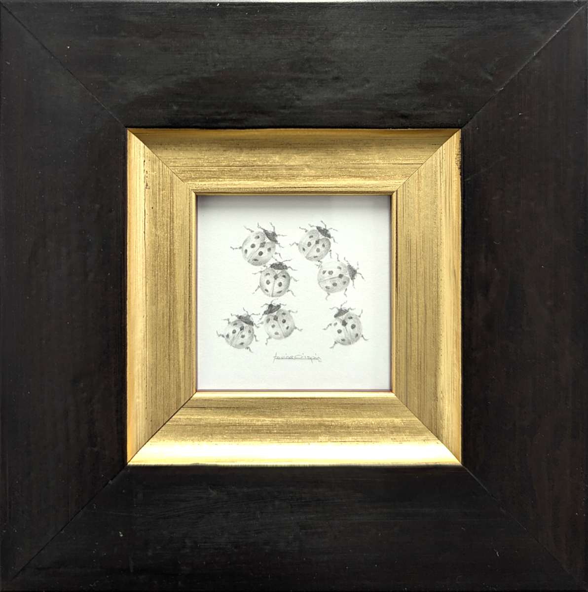 Ladybird LB002 by Louisa Crispin, Image 1.