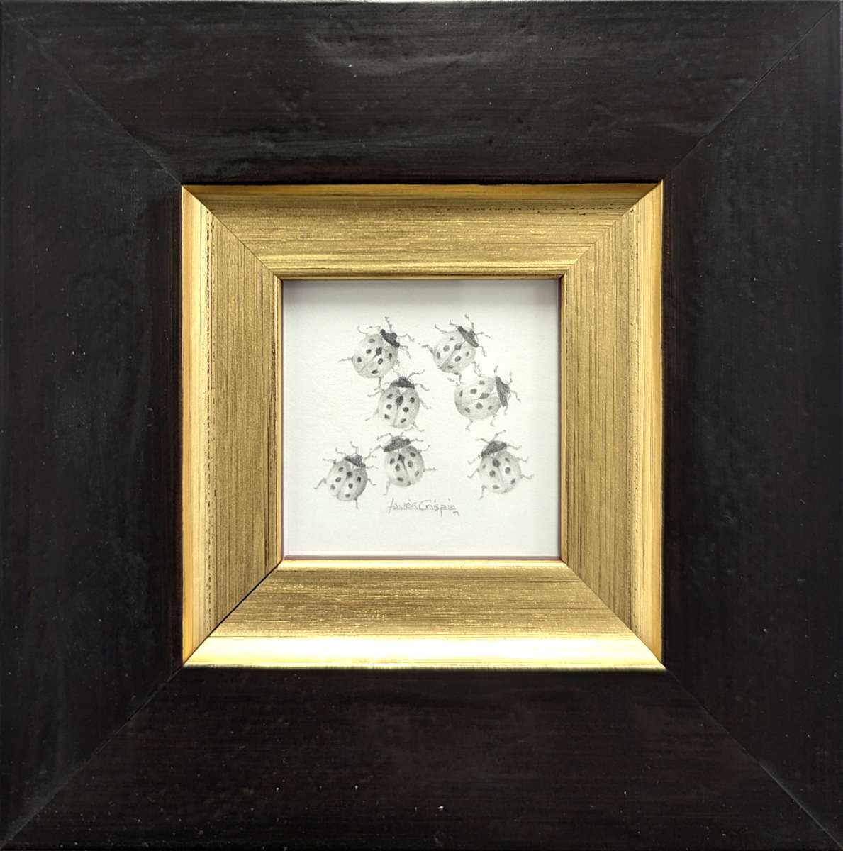 Ladybird LB003 by Louisa Crispin, Image 1.