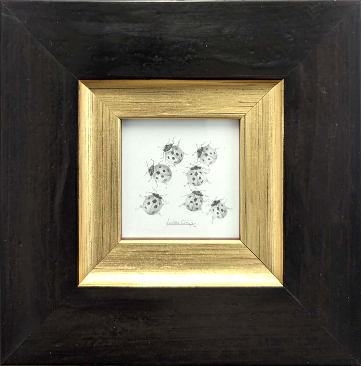 Ladybird LB004 by Louisa Crispin, Image 1.