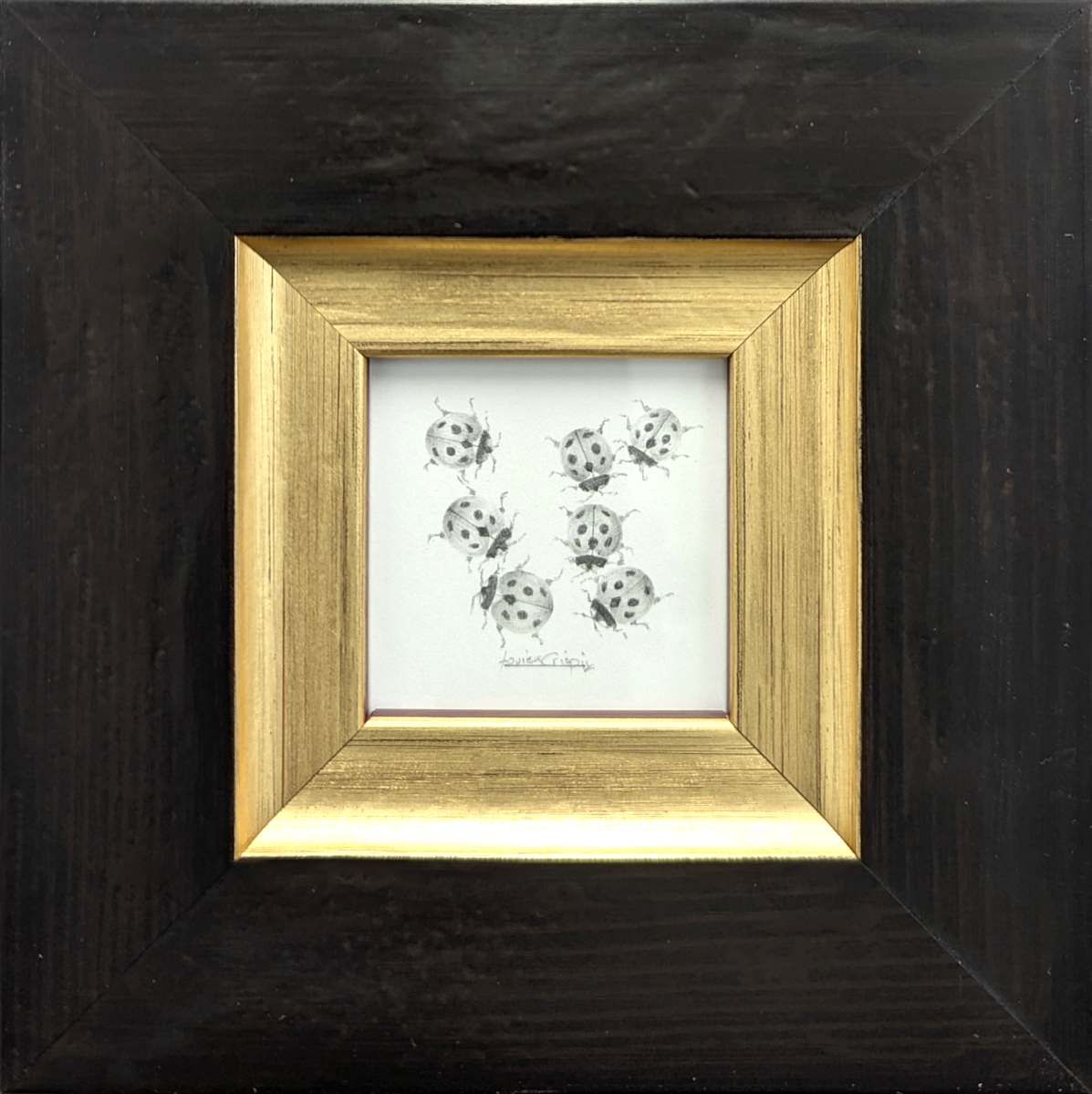 Ladybird LB005 by Louisa Crispin, Image 1.