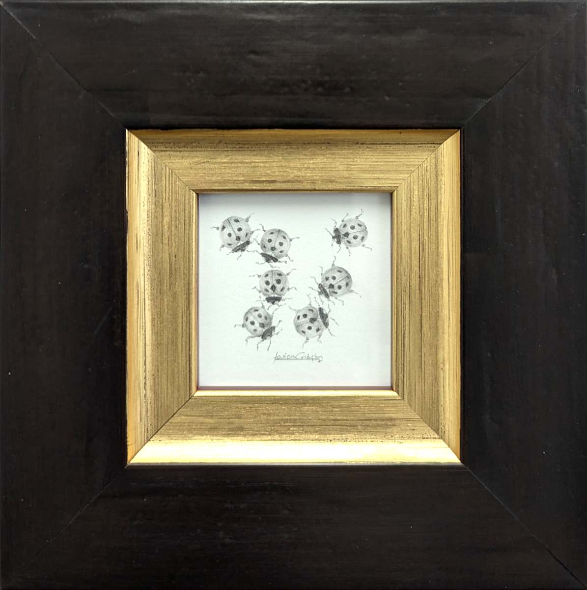 Ladybird LB006 by Louisa Crispin, Image 1.