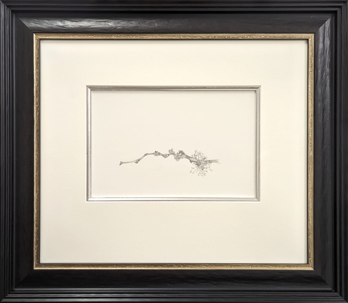 Lichen on Gleditsia viii by Louisa Crispin, Image 2.