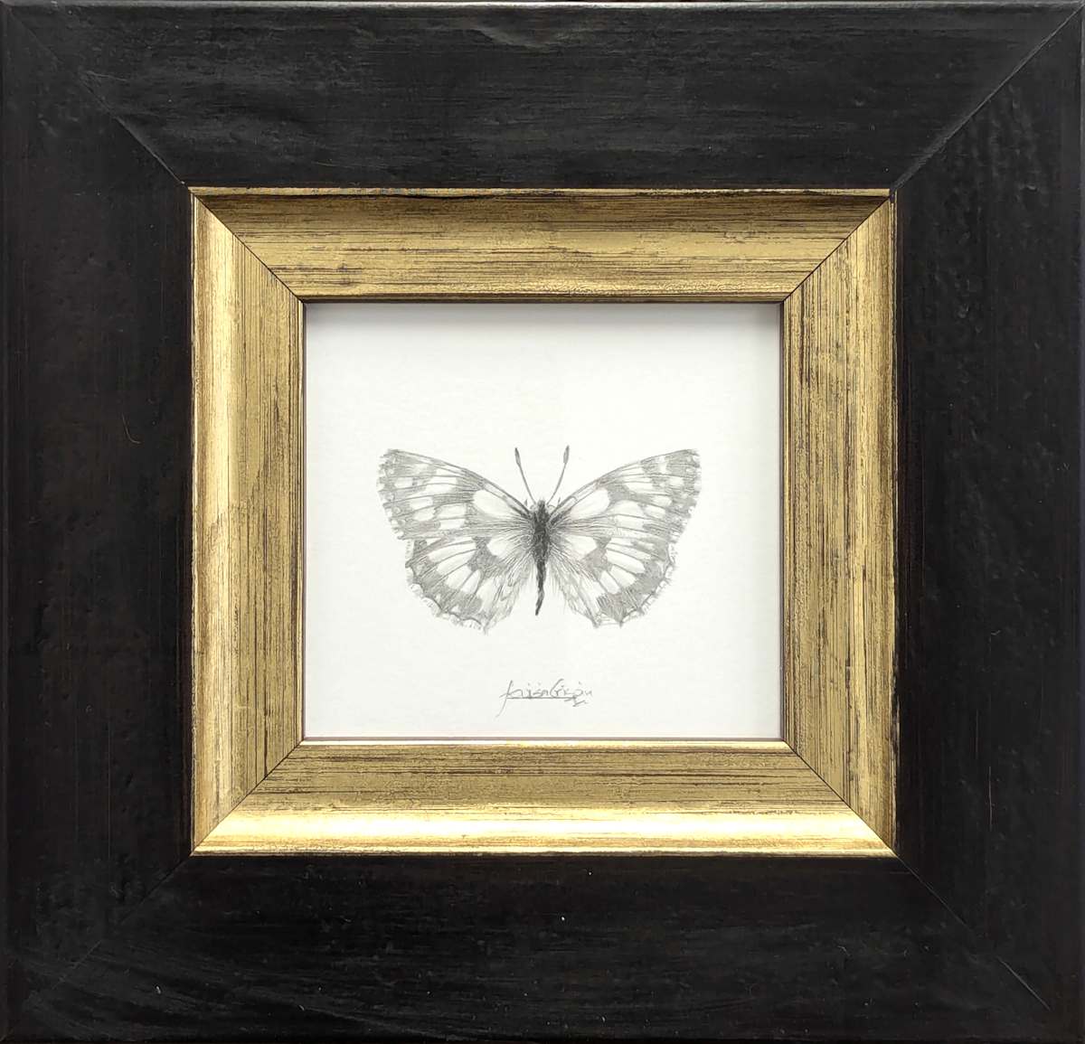 Marbled White MW003 by Louisa Crispin, Image 1.