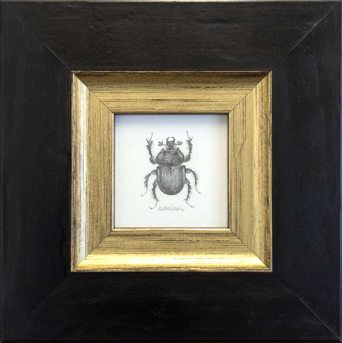 Minotaur Beetle MB001 by Louisa Crispin 
