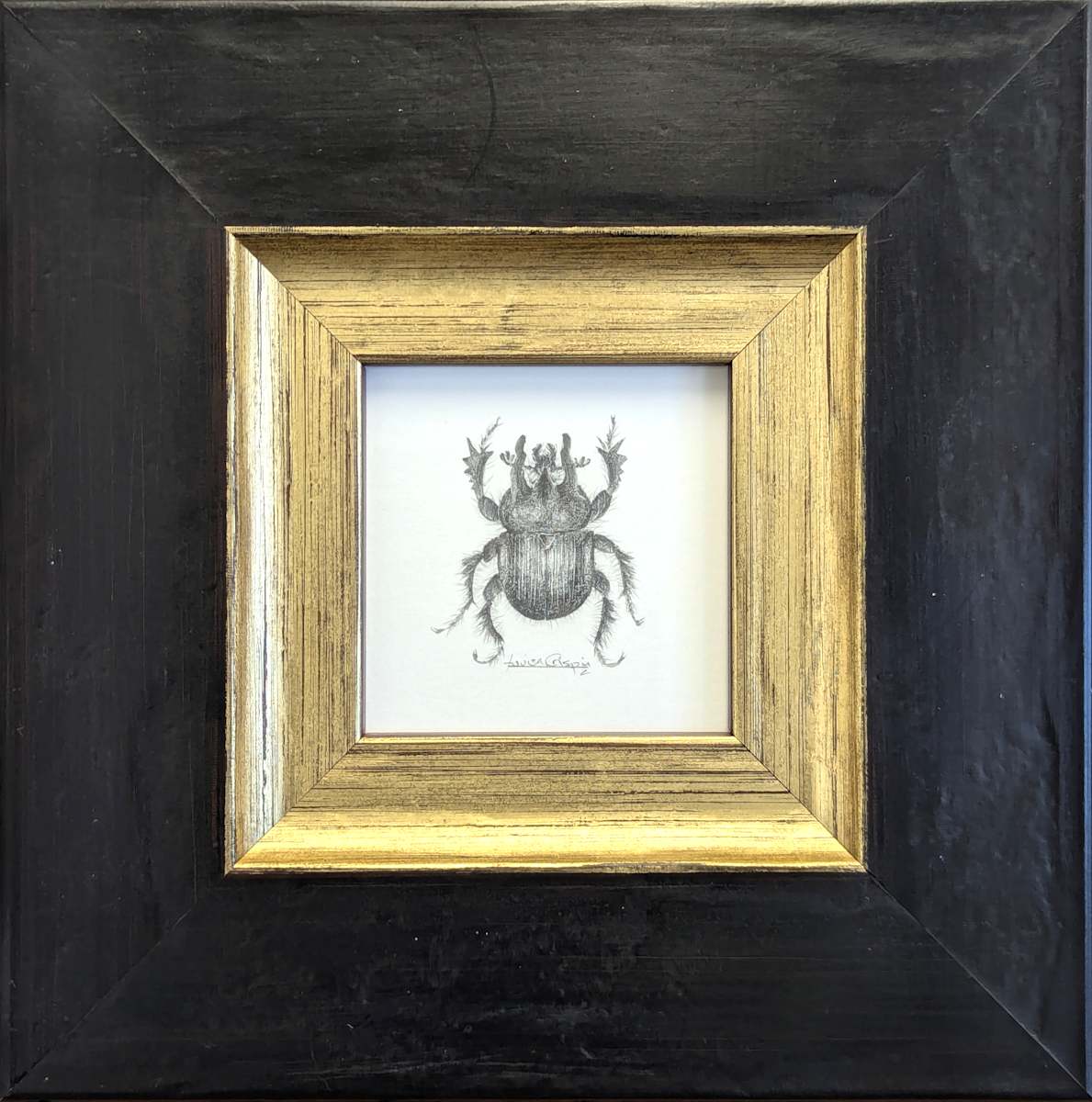 Minotaur Beetle MB002 by Louisa Crispin 