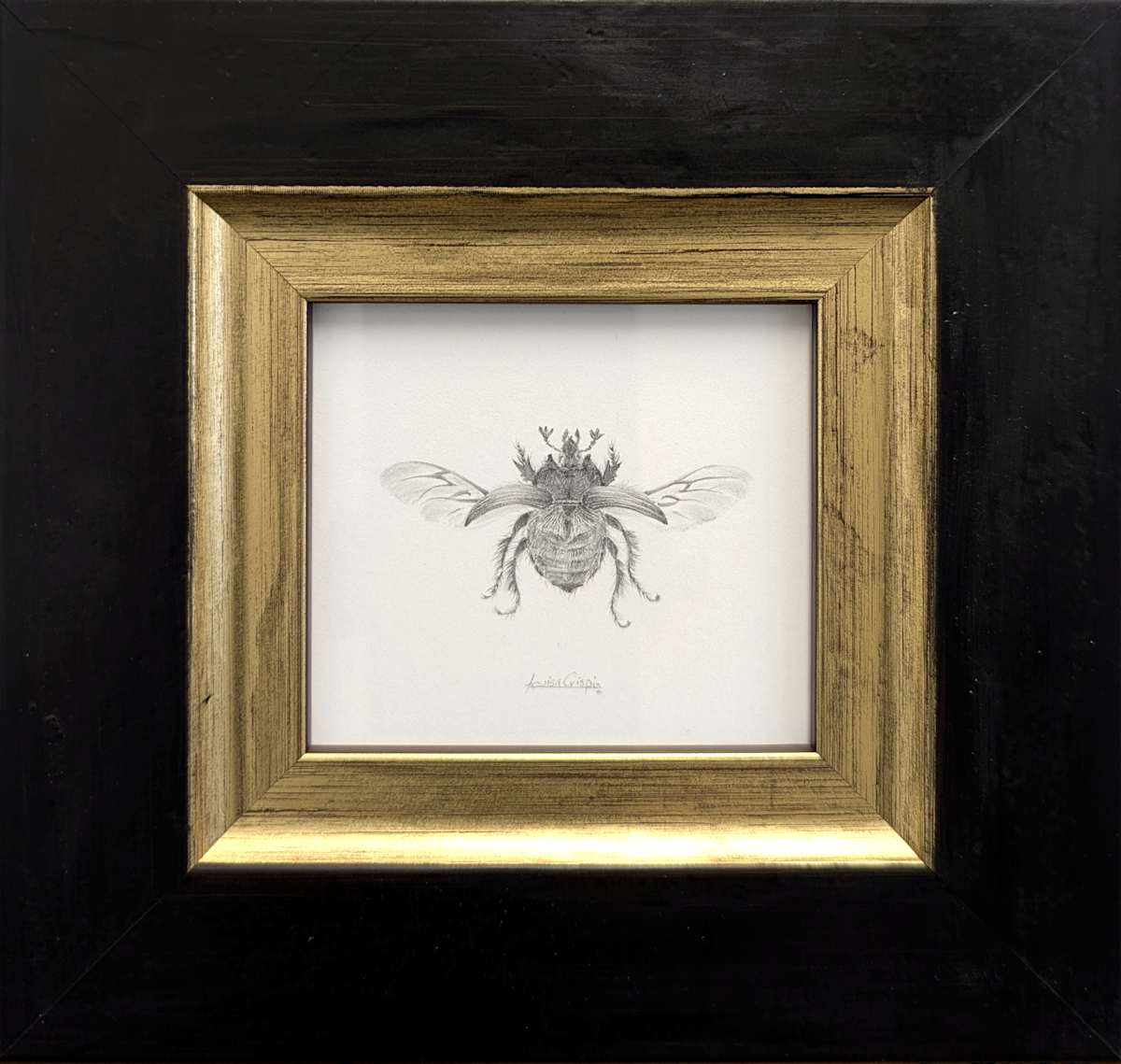 Minotaur Beetle MB004 by Louisa Crispin, Image 1.