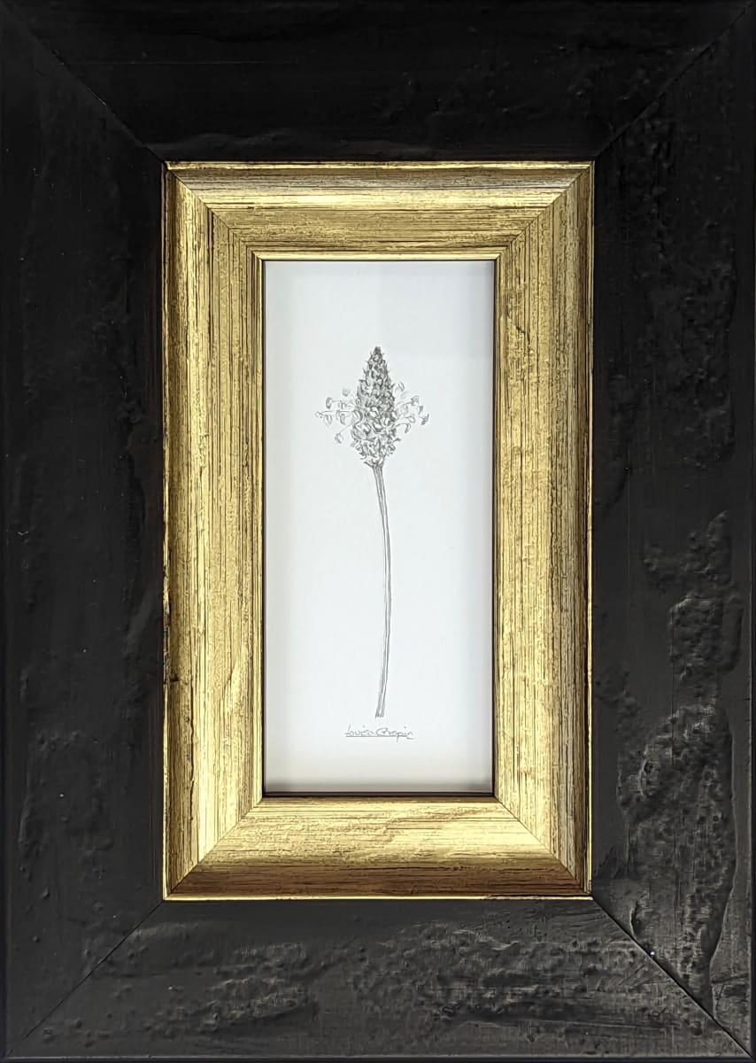 Plantain PL001 by Louisa Crispin, Image 1.