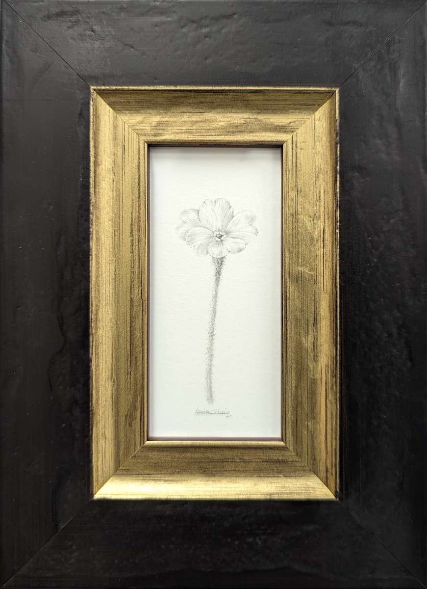 Primrose PR001 by Louisa Crispin 