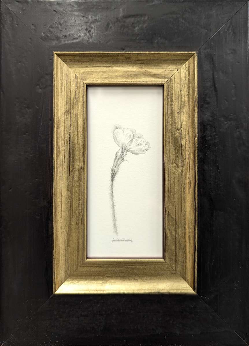 Primrose PR002 by Louisa Crispin 