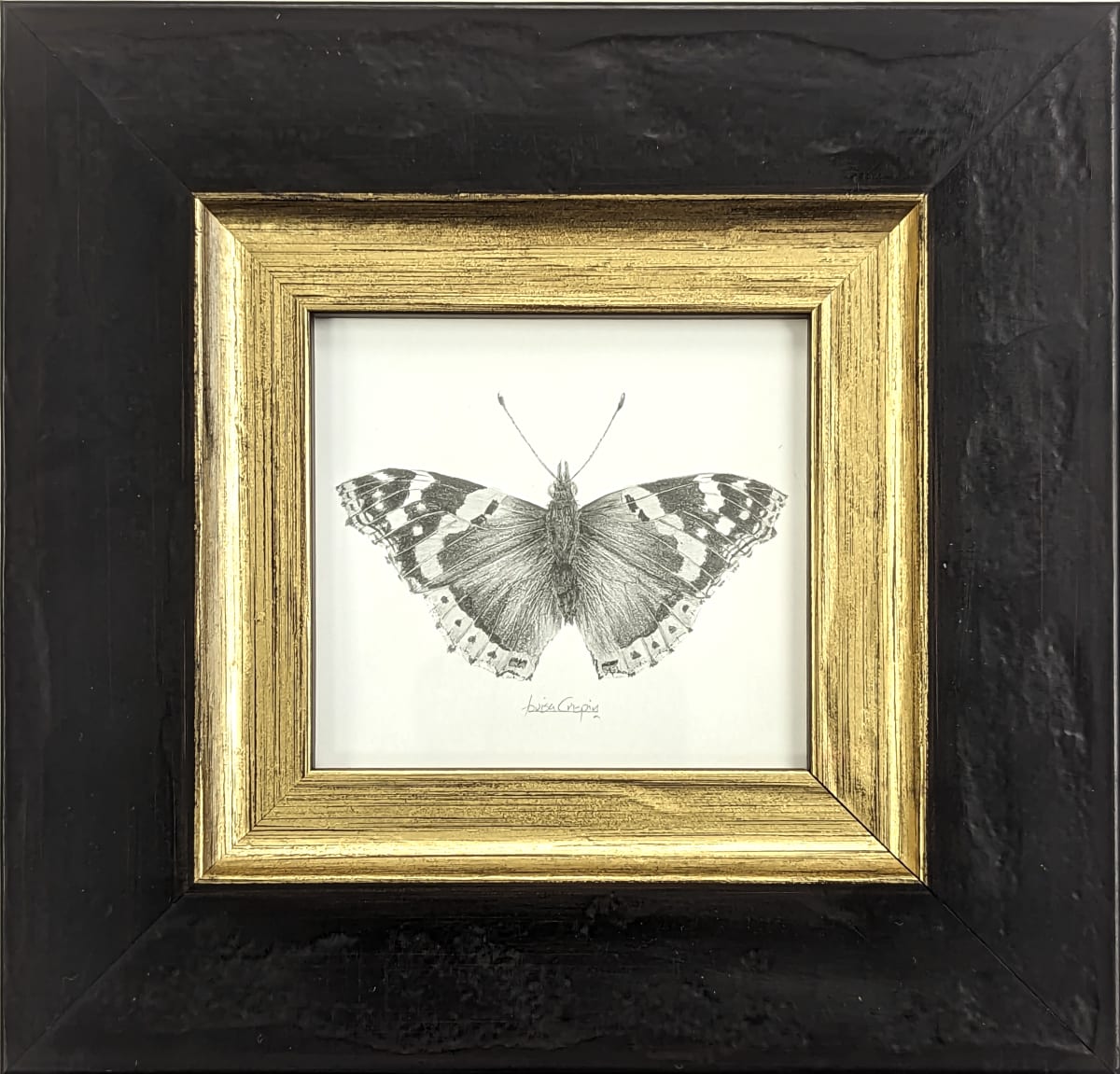 Red Admiral RA002 by Louisa Crispin, Image 1.