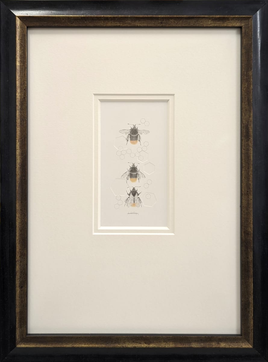 Red Tailed Bumble Bee 3.40e by Louisa Crispin 