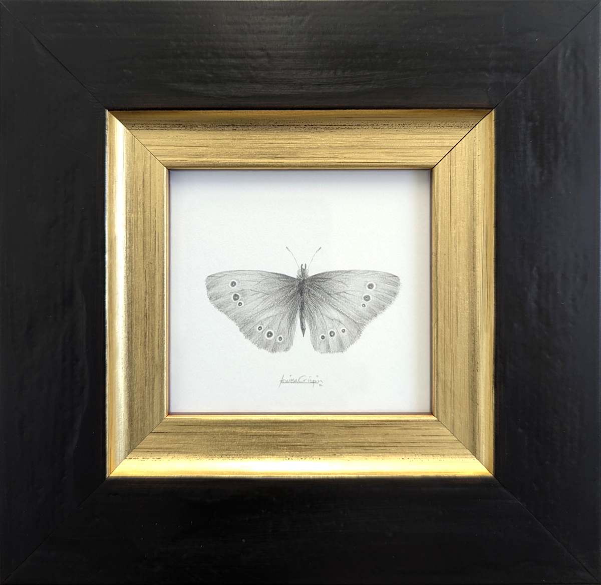 Ringlet RL003 by Louisa Crispin, Image 1.
