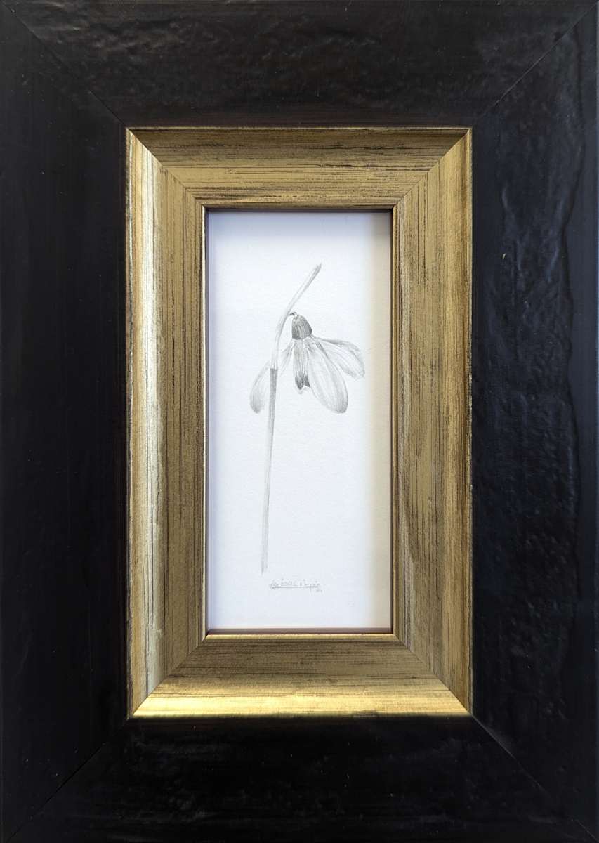 Snowdrop SD002 by Louisa Crispin 