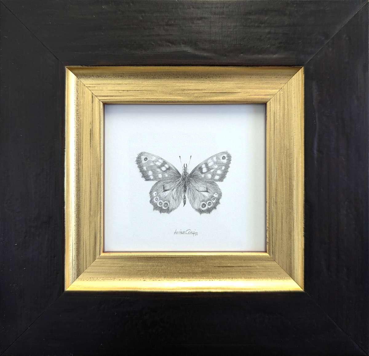 Speckled Wood Butterfly SPW002 by Louisa Crispin, Image 1.