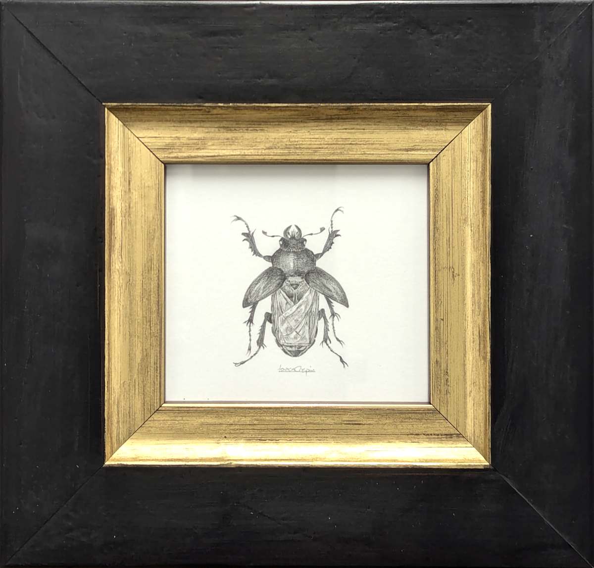 Stag Beetle SB009 by Louisa Crispin 